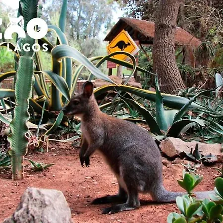 Casa Pios Appartement *